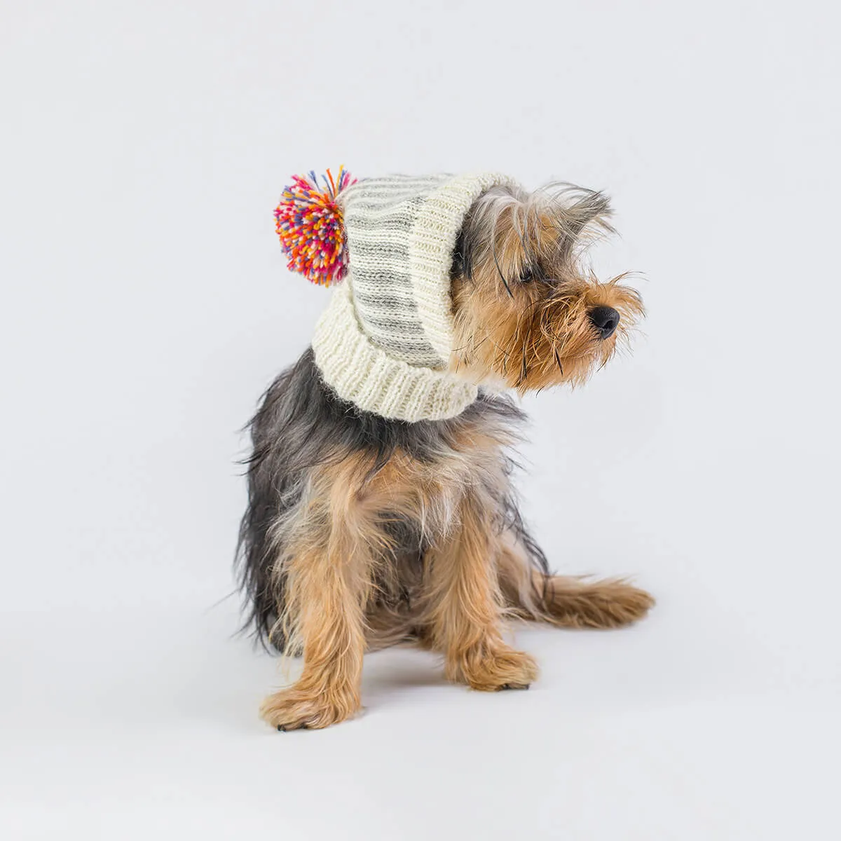 Alpaca Dog Hat