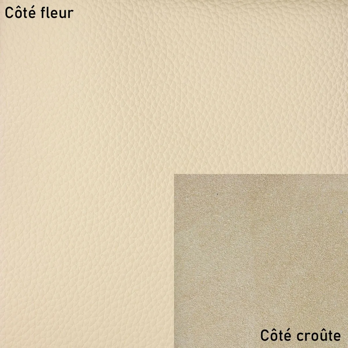 Peau de cuir de veau grainé - BEIGE M34