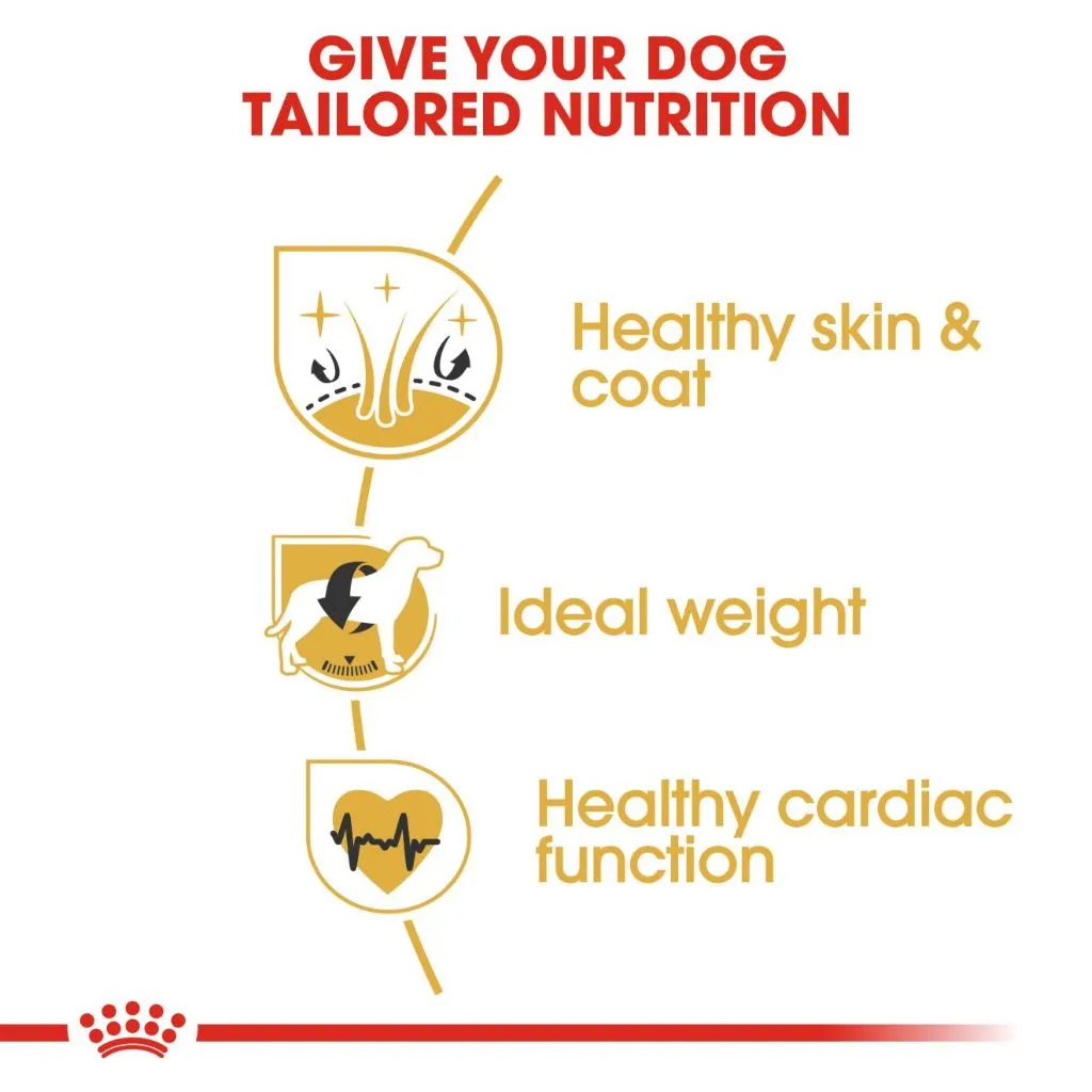 Royal Canin Cocker Adult 3kg Dry Dog Food - Breed Health Nutrition